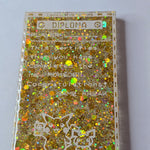 Pokedex Diploma Magnet